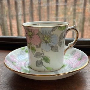 Wild Rose Salisbury Fine Bone China Teacup & Saucer
